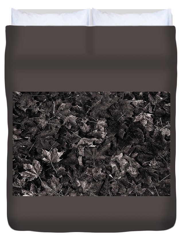 Autumn Colors Photographs Duvet Cover featuring the photograph Decayed Autumn leaves on the ground Copper tone by Ricardo Dominguez