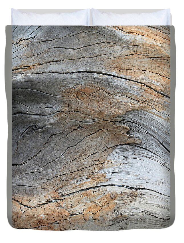 Tidal Duvet Cover featuring the photograph Decomposition III by Annekathrin Hansen