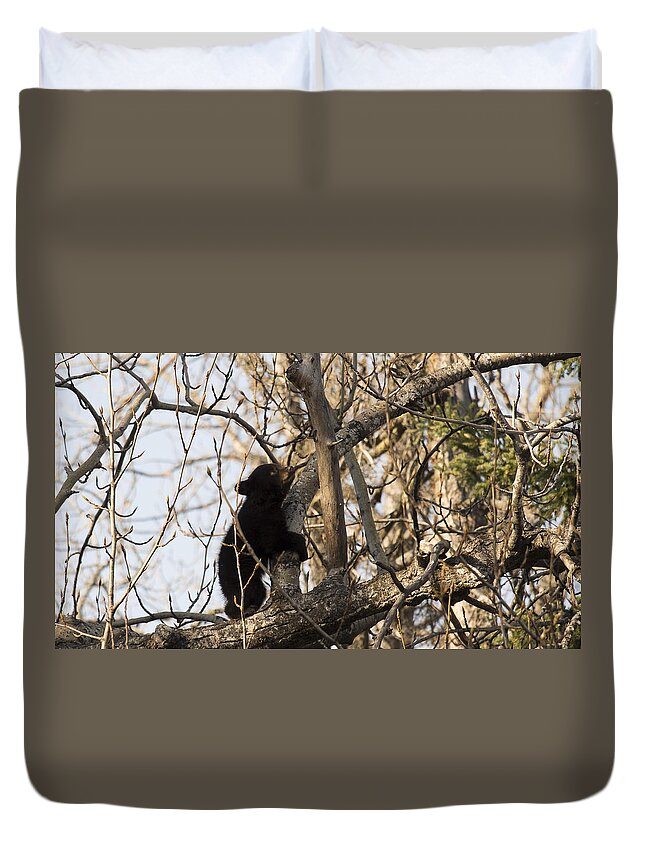 Anchorage Duvet Cover featuring the photograph Deep in Thought by Ian Johnson
