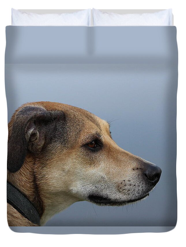 Dogs Duvet Cover featuring the photograph Deep In Thought by Tim Kuret