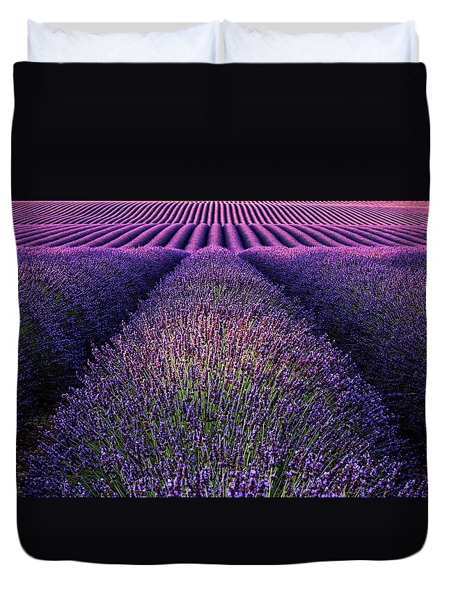 Landscape Duvet Cover featuring the photograph Deep purple by Jorge Maia