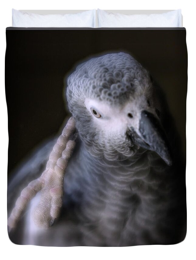 African Grey Duvet Cover featuring the photograph Deep Thinker by Jennifer Grossnickle