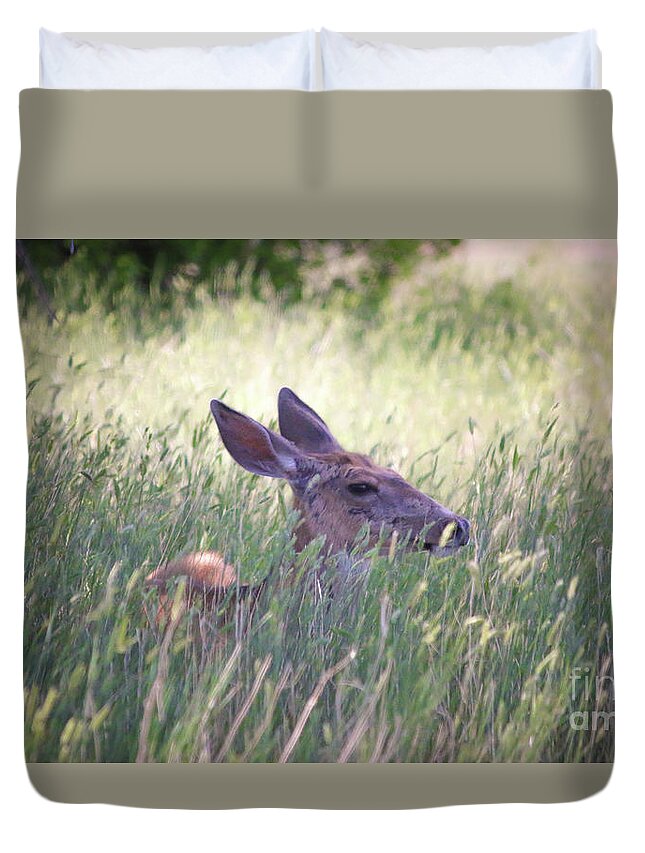 Deer Duvet Cover featuring the photograph Deer in Grass Two by Veronica Batterson