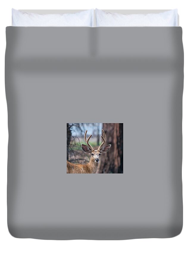 Deer Duvet Cover featuring the photograph Deer Stare by Dorothy Cunningham