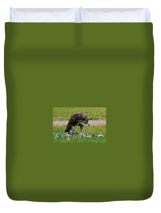 Bird Of Prey Duvet Cover featuring the photograph Defeathering by Brooke Bowdren