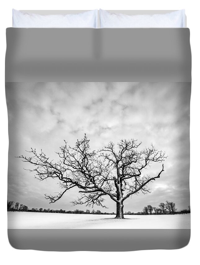 Monochrome Duvet Cover featuring the photograph Delaware Park Winter Oak by Chris Bordeleau