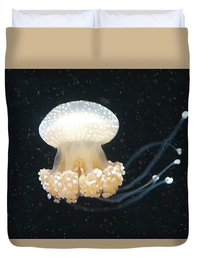 Monterey Aquarium Duvet Cover featuring the photograph Delicacy of Jellyfish by Michele Myers