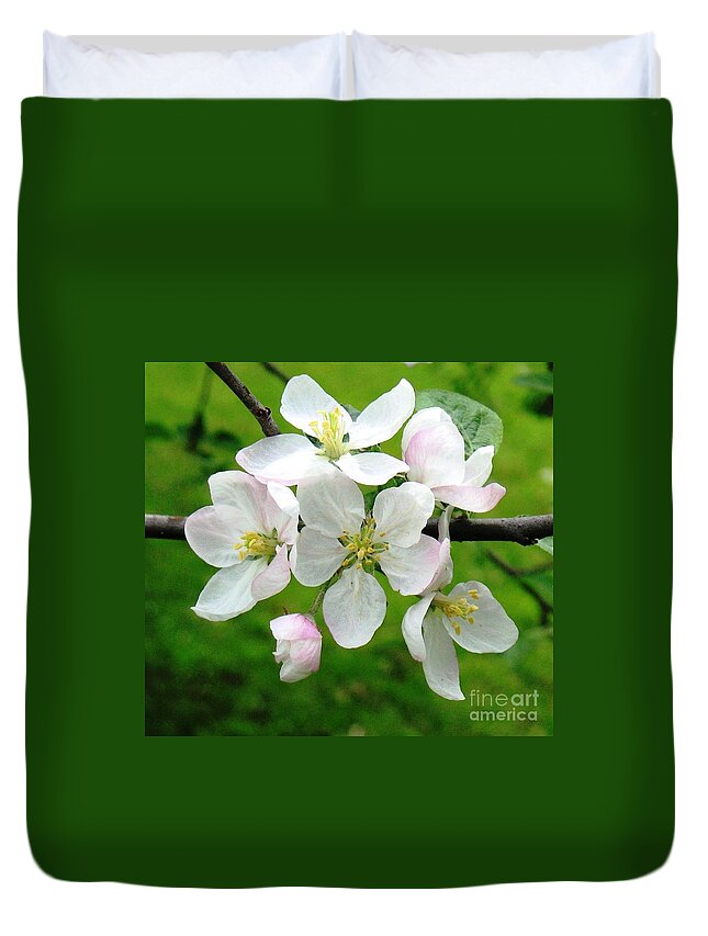 Apple Tree Blossoms Duvet Cover featuring the photograph Delicate Apple Blossoms by Hazel Holland