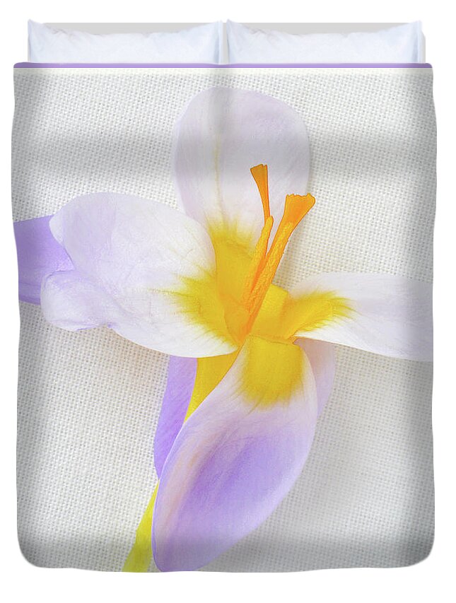 Crocus Duvet Cover featuring the photograph Delicate Art Of Crocus by Terence Davis