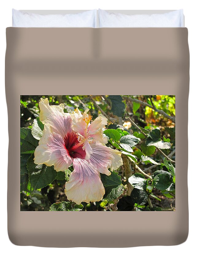 Flower Duvet Cover featuring the photograph Delicate Expression by David Bader