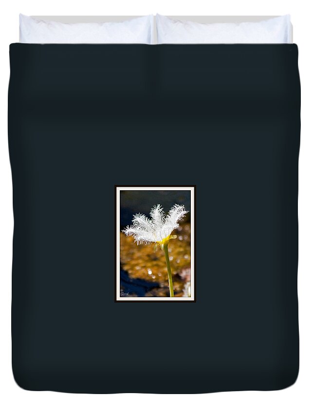 Lily Duvet Cover featuring the photograph Delicate Lily by Farol Tomson