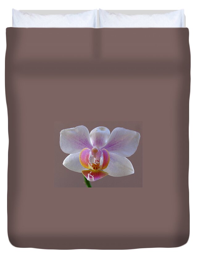 Keefe Duvet Cover featuring the photograph Delicate Orchid Portrait by Juergen Roth