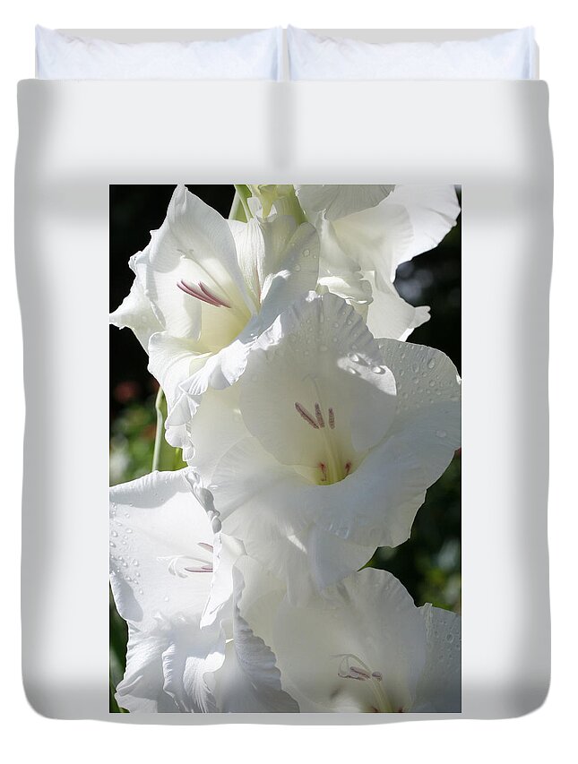 Gladiolus Duvet Cover featuring the photograph Delightful Gladiolus by Tammy Pool
