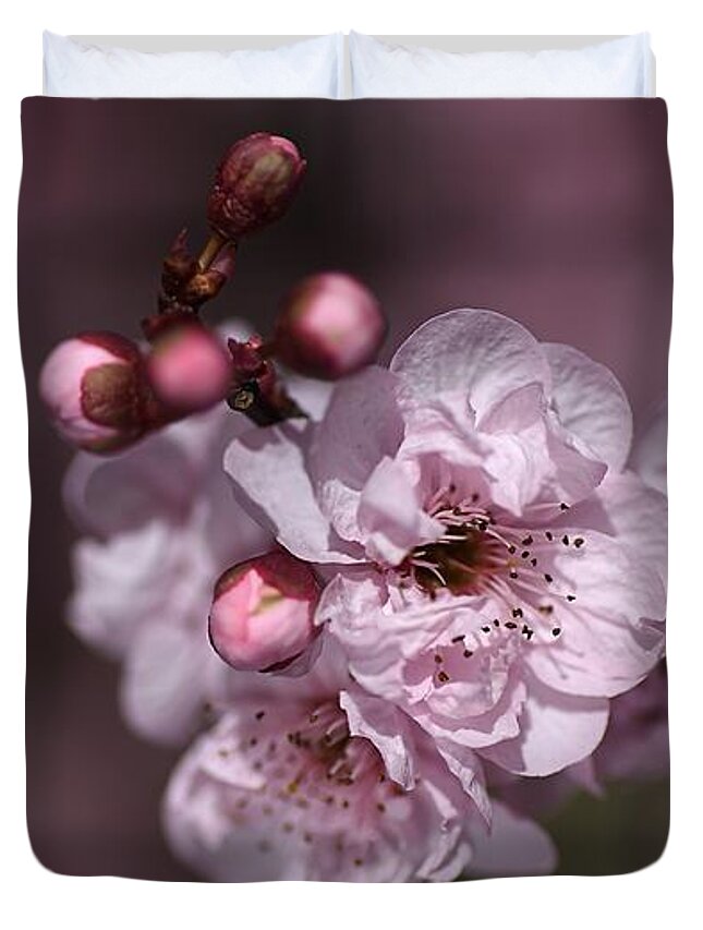 Bubbleblue Duvet Cover featuring the photograph Delightful Pink Prunus Flowers by Joy Watson
