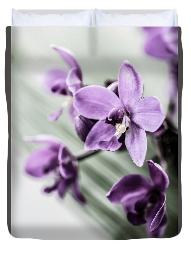 Dendrobium Orchids Duvet Cover featuring the photograph Dendrobium Orchids by Tracy Winter