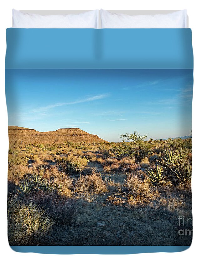 Fall Duvet Cover featuring the photograph Desert and Woods Mountains by Jeff Hubbard