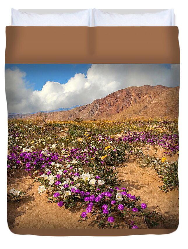 Anza Borrego Duvet Cover featuring the photograph Desert Bliss by Lynn Bauer
