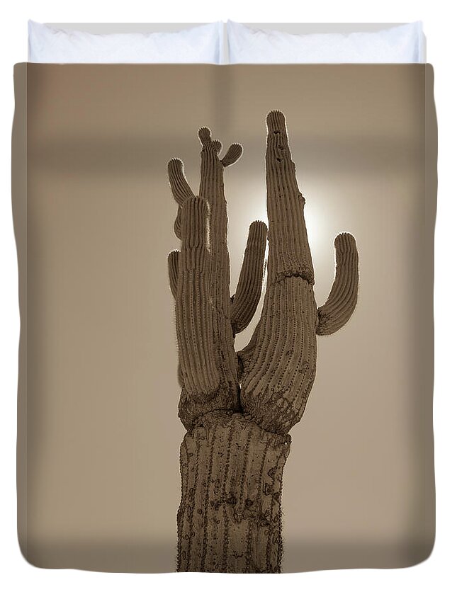 Desert Duvet Cover featuring the photograph Desert cactus by Darrell Foster