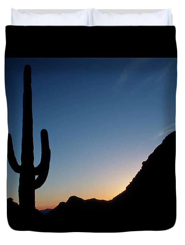 Cactus Duvet Cover featuring the photograph Desert cactus Sunrise by Ted Keller