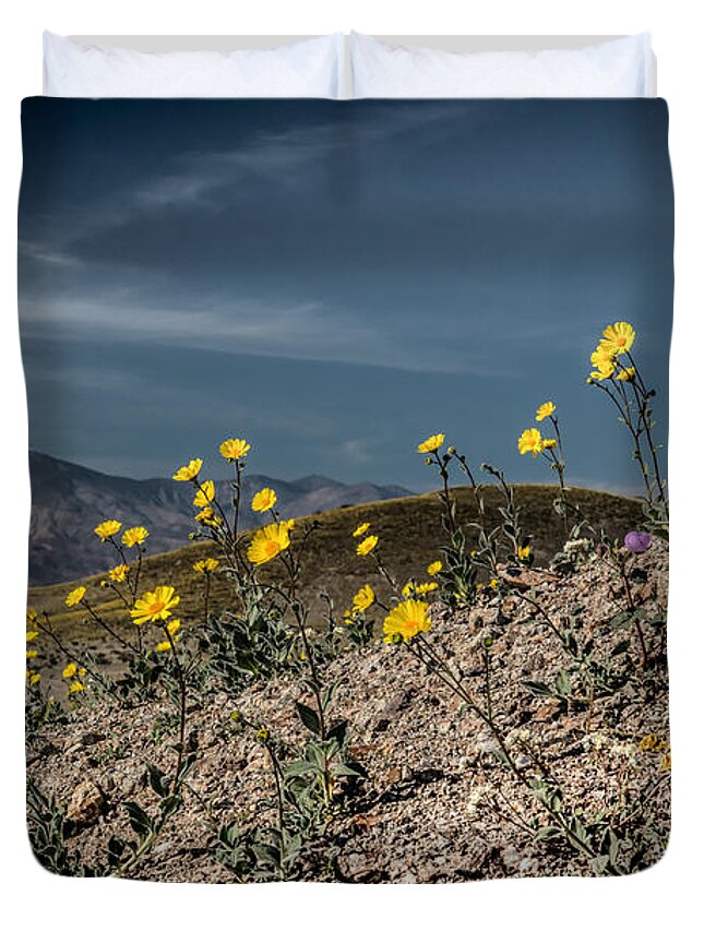 Ashford Mills Duvet Cover featuring the photograph Desert Gold in Death Valley by Janis Knight