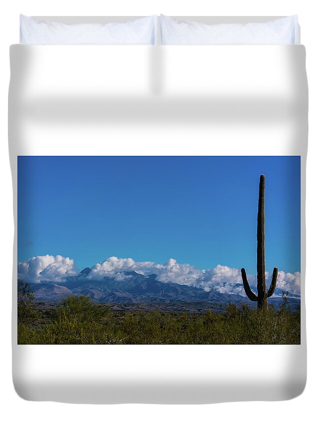 Desert Duvet Cover featuring the photograph Desert Inversion Cactus by Douglas Killourie