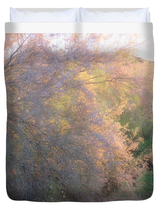 Arizona Duvet Cover featuring the photograph Desert Ironwood Blooming in the Golden Hour by Judy Kennedy