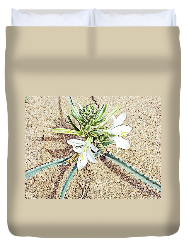 Desert Lilies In Anza-borrego State Park Duvet Cover featuring the photograph Desert Lilies in Anza-Borrego State Park-California by Ruth Hager