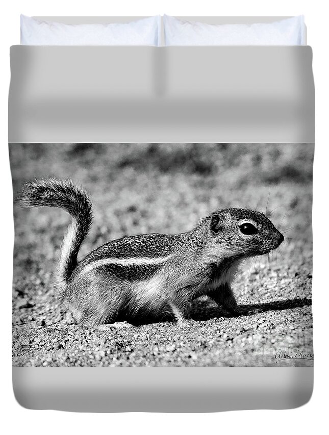 Wildlife Duvet Cover featuring the photograph Scavenger, Black and White by Adam Morsa