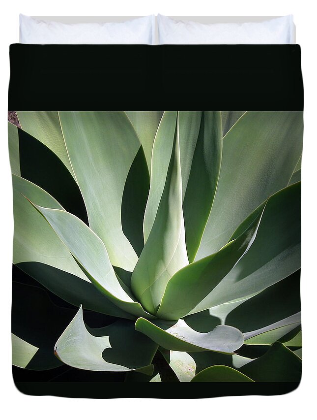 Cactus Duvet Cover featuring the photograph Desert Solitaire by Carolyn Jacob