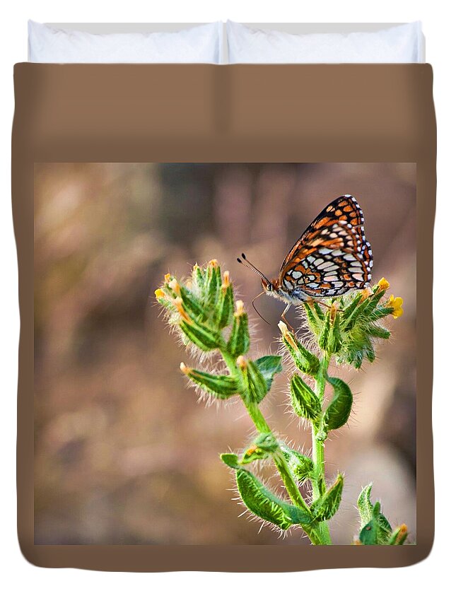Butterfly Duvet Cover featuring the photograph Desert spring life by Tatiana Travelways
