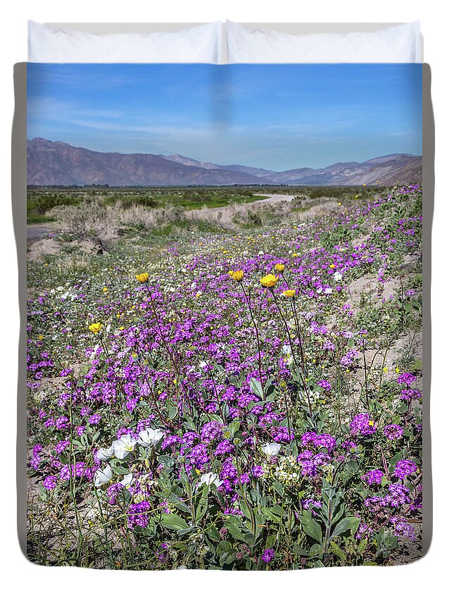 Anza-borrego Desert Duvet Cover featuring the photograph Desert Super Bloom by Peter Tellone