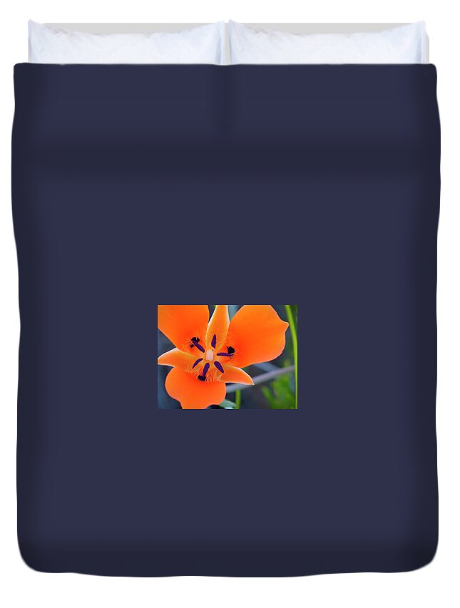 Flowers Duvet Cover featuring the photograph Desert Wildflower by Penny Lisowski
