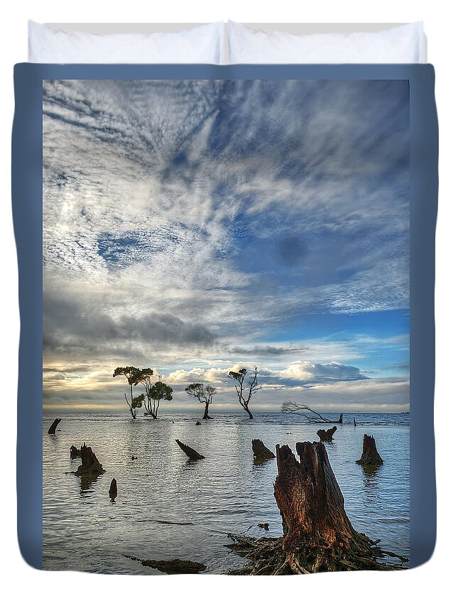 2015 Duvet Cover featuring the photograph Desolation by Robert Charity