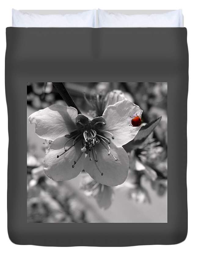 Flower Duvet Cover featuring the photograph Desperation Murmur by Lidia Trifonova