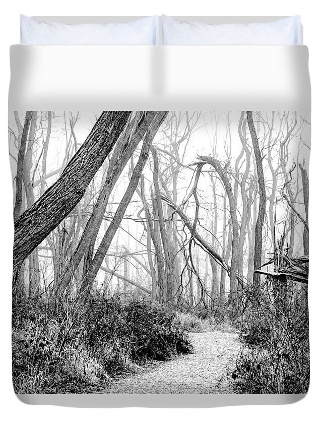 Illinois Duvet Cover featuring the photograph Destruction in Black and White by Joni Eskridge