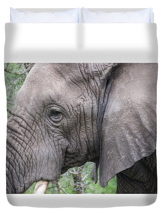 Africa Duvet Cover featuring the photograph Detail of an African Elephant's Face by Brenda Smith DVM