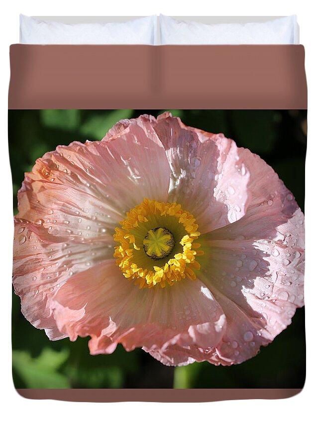 Poppy Duvet Cover featuring the photograph Dew Drop Poppy by Tammy Pool