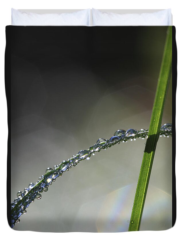 Abstract Duvet Cover featuring the photograph Dew drops clinging to blade of grass by Ulrich Kunst And Bettina Scheidulin