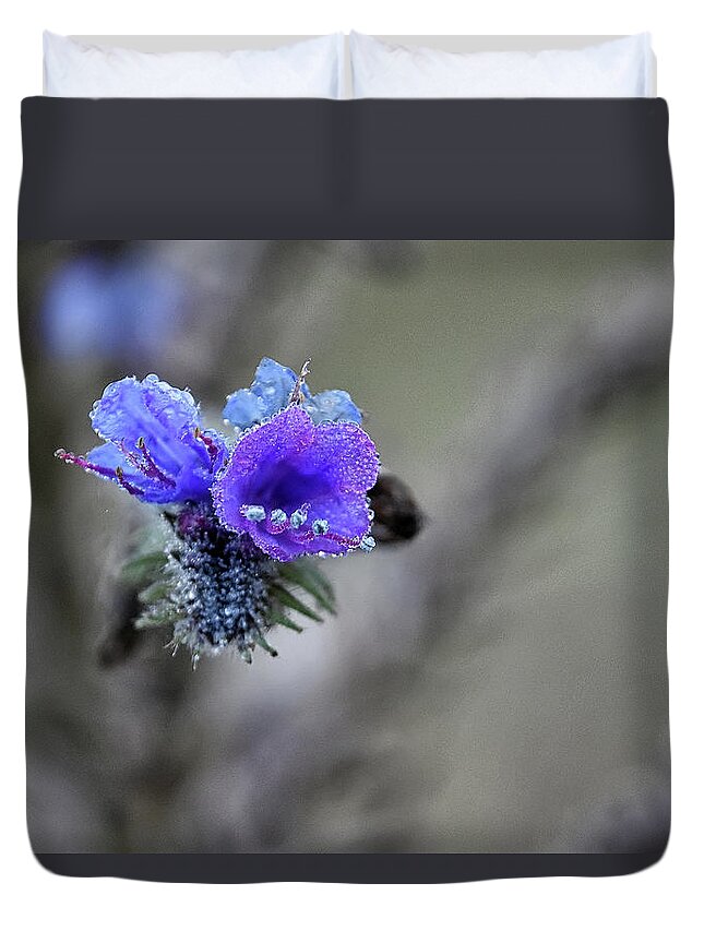  Duvet Cover featuring the photograph Dew Drops by Kuni Photography