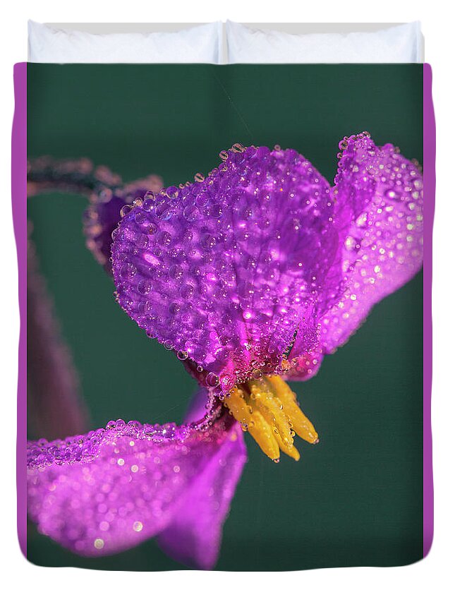 Erysimum Duvet Cover featuring the photograph Dew Drops on Pink Petals Macro by Heiko Koehrer-Wagner