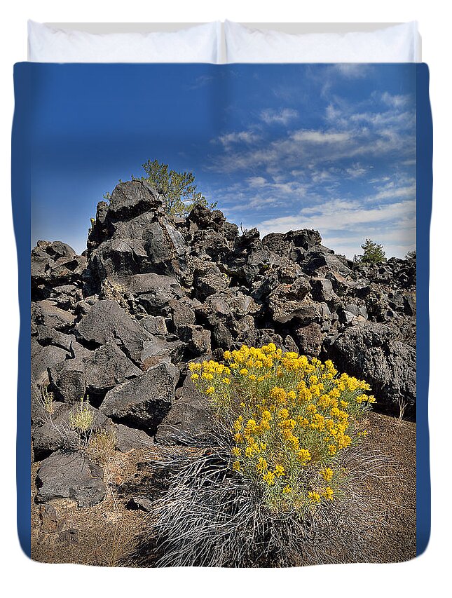 Flower Rock Stone Rocks Stones Lava Volcanic Yellow Plant Nature Craters Moon National Monument Duvet Cover featuring the photograph Dichotomy 2976 by Ken DePue
