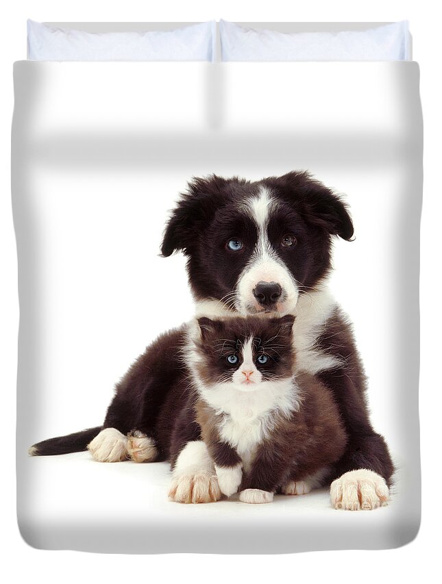 Border Collie Duvet Cover featuring the photograph Different Strokes - Same Love by Warren Photographic