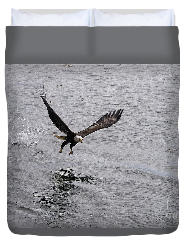 Eagle Duvet Cover featuring the photograph Dinner? Prince Rupert Eagle by Louise Magno