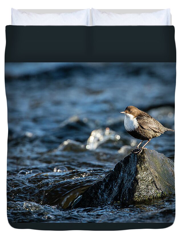 Dipper On The Rock Duvet Cover featuring the photograph Dipper on the rock by Torbjorn Swenelius