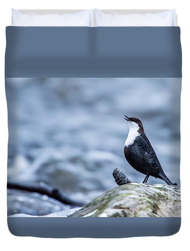 Dipper's Call Duvet Cover featuring the photograph Dipper's Call by Torbjorn Swenelius