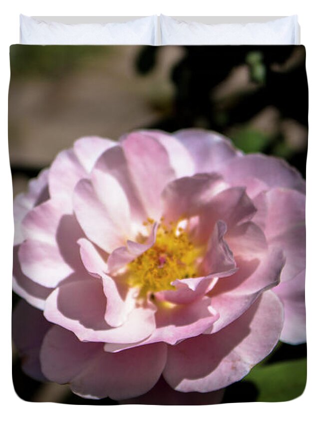Close-up Duvet Cover featuring the photograph Distant Drums Rose - 2 by K Bradley Washburn