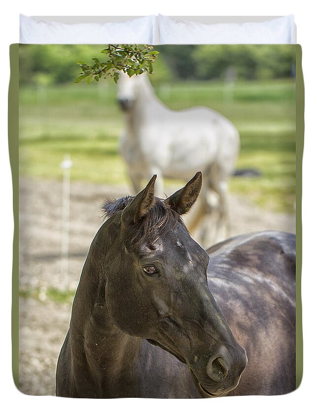 Pasture Duvet Cover featuring the photograph Divine Equines by Constantine Gregory