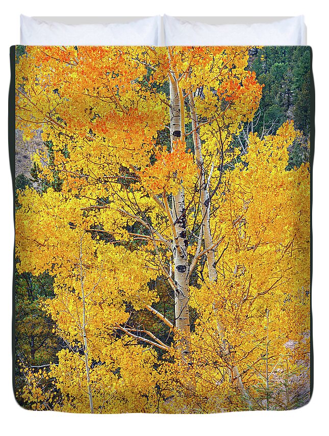 Aspen Leaves Duvet Cover featuring the photograph Do Not Learn How To React. Learn How To Respond. by Bijan Pirnia