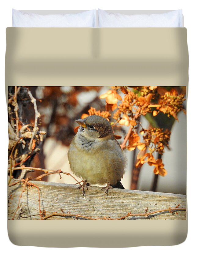 Little Bird Duvet Cover featuring the photograph Do You Hear That by Betty-Anne McDonald