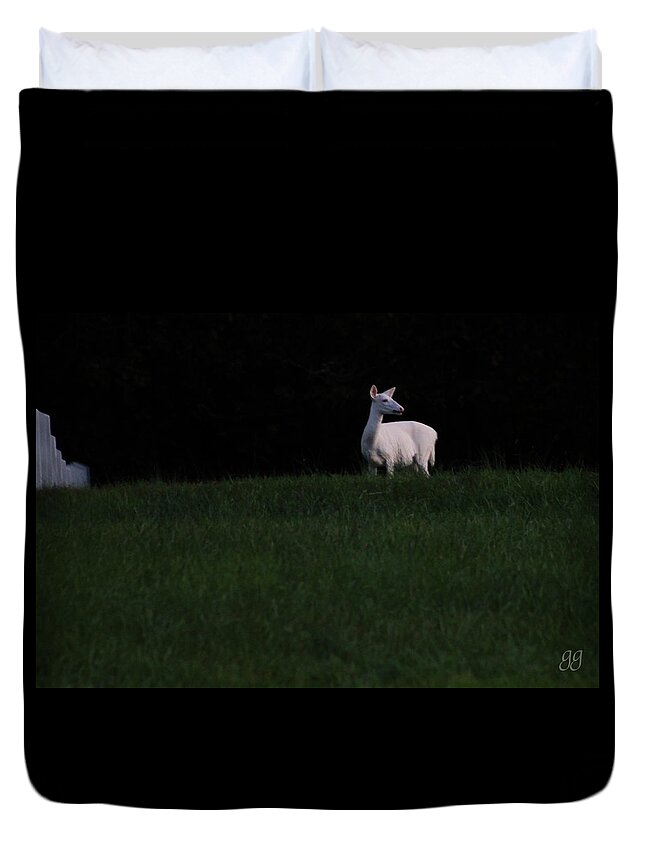 Albino Deer Duvet Cover featuring the photograph Doe, A Deer by Geri Glavis